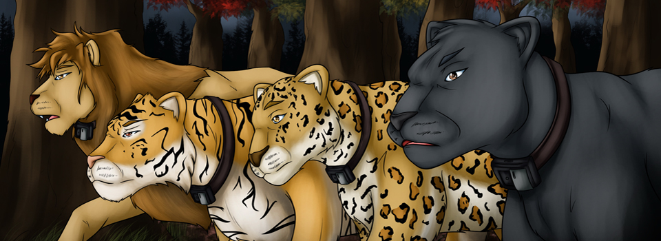 Panthera